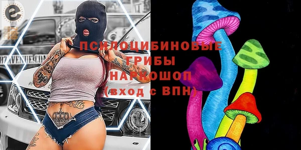 амфетамин Белокуриха