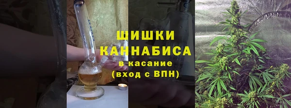 ПСИЛОЦИБИНОВЫЕ ГРИБЫ Балабаново